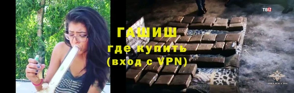 соль ск Дмитриев