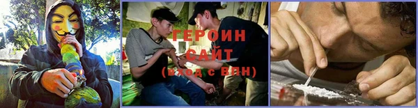 соль ск Дмитриев