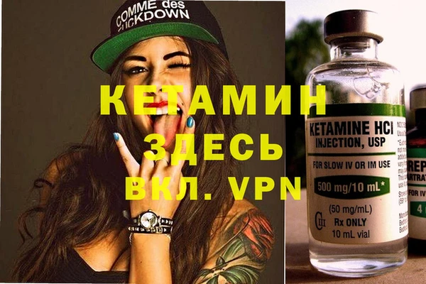 соль ск Дмитриев