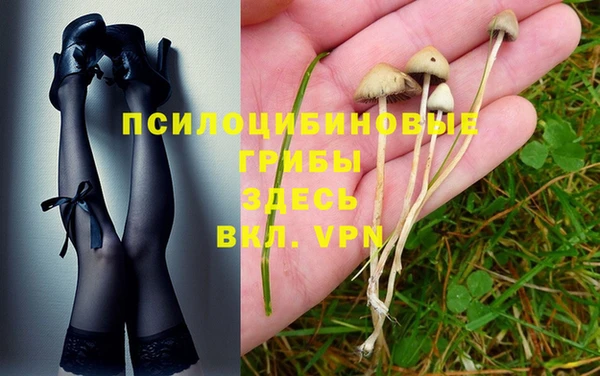 спайс Дмитровск