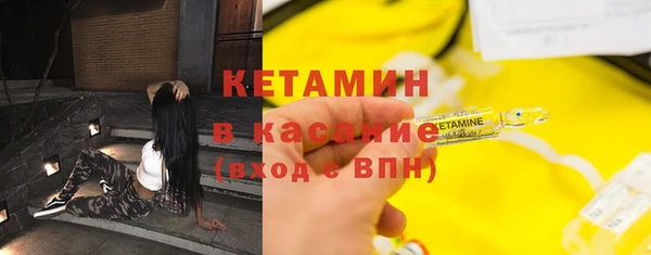 соль ск Дмитриев