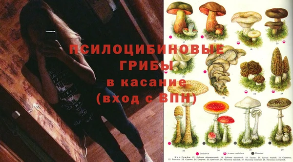 спайс Дмитровск