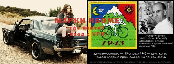 амф Дмитров