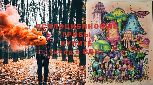 спайс Дмитровск