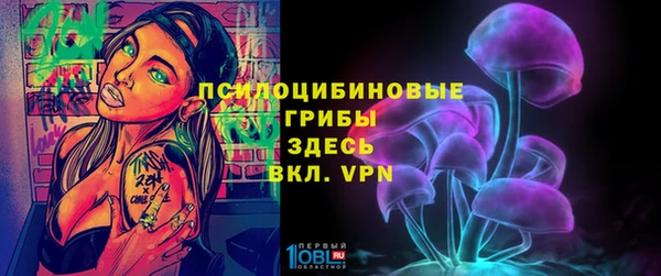 спайс Дмитровск