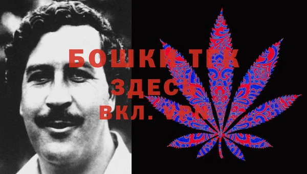 соль ск Дмитриев