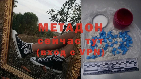 соль ск Дмитриев